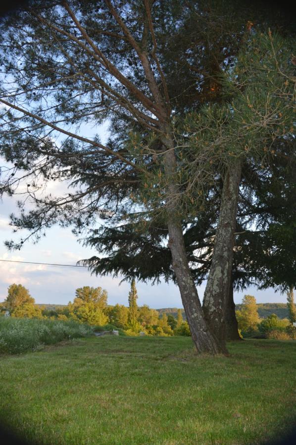 Les Loups Dans La Bergerie Bed and Breakfast Banne Esterno foto